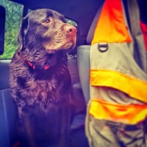 Meet your Posher, Harrison